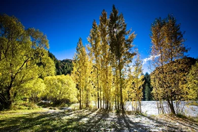 New Desktop Wallpapers   HD Images New