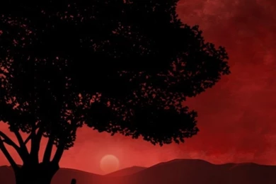 768x1024 Anime Red Sunset & Tree Ipad Mini Wallpapers