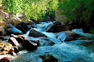 Nature Wallpapers Set 20