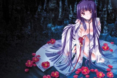 Modern Furniture: Anime Wallpapers 12