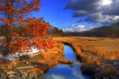 Complete And Realistic Natural Fall View In Your Desktop: Autumn ...