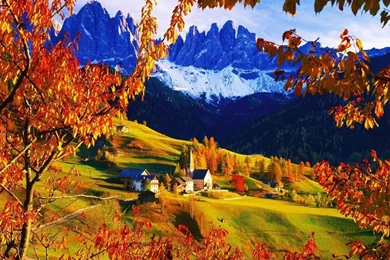 Other: New Leaves Spring Green Plant Background Images For High ...