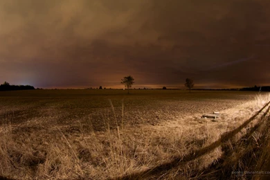 Autumn Backgrounds Wallpapers   9813