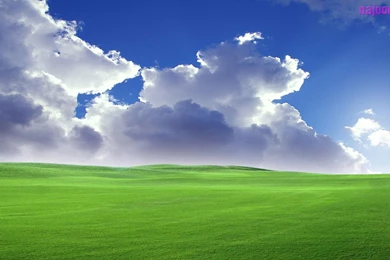 Windows Xp Wallpapers