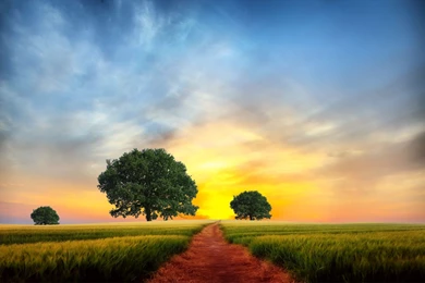 Path Backgrounds Wallpapers