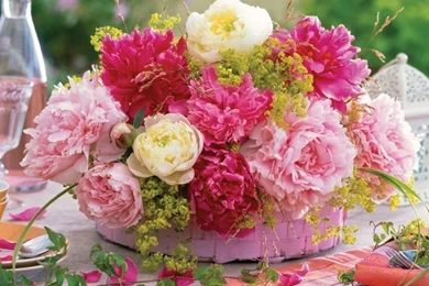 Flowers Animation Images