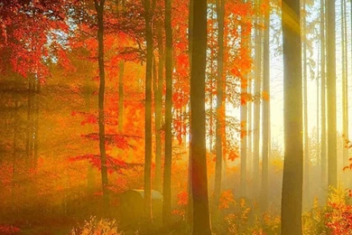 1080x1920 Iphone Wallpapers HD 1080P Iphone Backgrounds Page 4