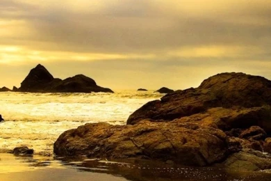 640x960 Beach In Sepia Iphone 4 Wallpapers