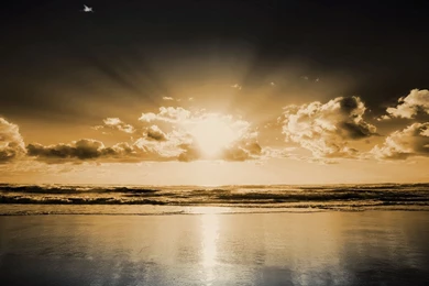 Beaches Clouds Nature Sepia Sunlight Wallpapers   (