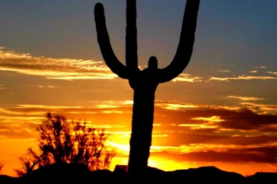 1080×1920 Hd Wallpapers For Mobile Phone Sony Lg Htc Motorola ...