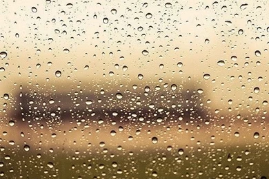 Water Droplets / Backgrounds / Texture