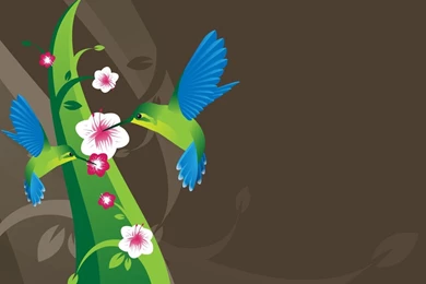 Hummingbird Wallpapers Pics