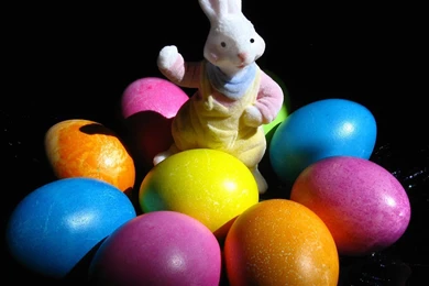 Easter, Rabbit, Sweet, Background, Beautiful, Wallpapers, Holidays ...