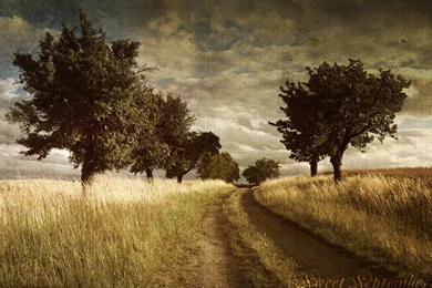 Sweet September Vintage Nature