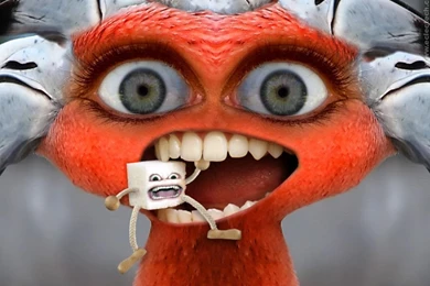 Redheadbird wallpaper.jpg