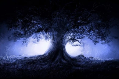 1440x900 Blue Tree Desktop PC And Mac Wallpapers