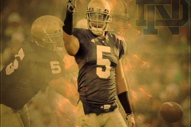 Notre Dame Wallpapers 799x711px Notre Dame Wallpapers 32216 Notre ...