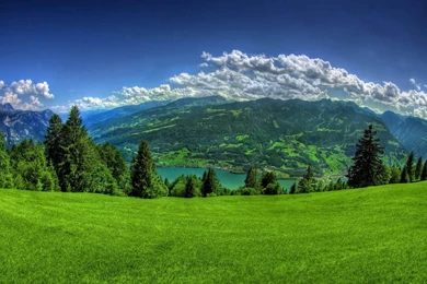 Spring Desktop Wallpapers 1440x900