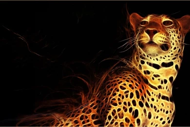 Fractals Wallpaper.jpg