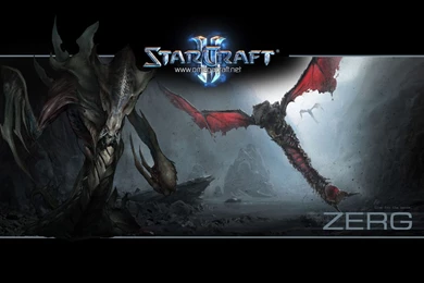 Starcraft Ii Wallpapers   (