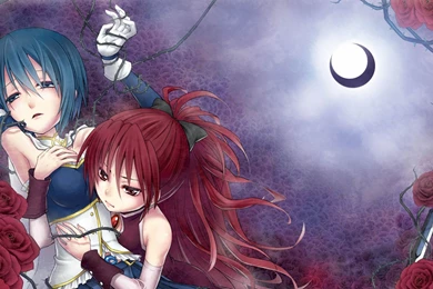 Download Flowers Blue Wallpapers 1920x1080