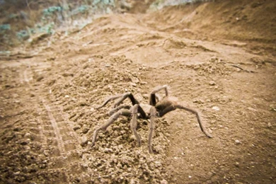 Shimano To Support New Super D Event In Fontana, CA   Mountain ...