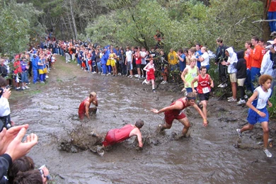 Wikipedia:Featured Picture Candidates/March 2006   Wikipedia, The ...