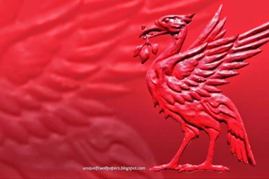 Gallery For   Unique Lfc Wallpapers