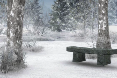 Backgrounds For Computer