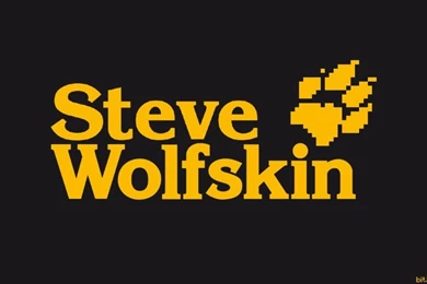 Funny Minecraft Wallpapers 2016 12