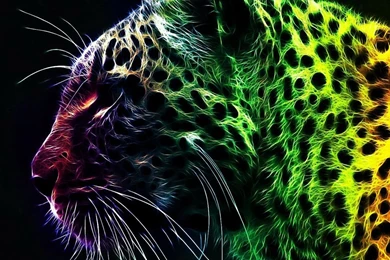 Awesome Cheetah 3D Free HD Wallpapers For Desktop