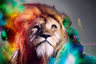 Colorful Lion Art