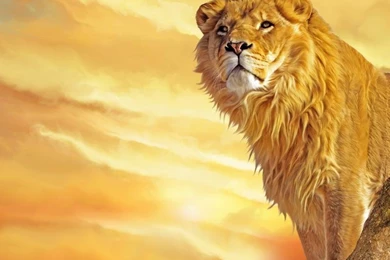 Lion Art Wallpaper,lion Wallpaper,artistic Wallpapers
