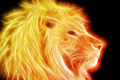 Glowing Golden Lion Wallpapers   Digital Art Wallpapers
