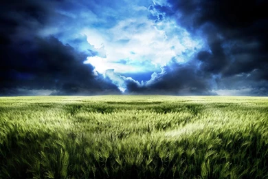 Wheat Fields, Clouds, Evening, Nature, Backgrounds