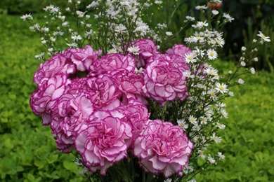 Philippine Wallpapers: Most Popular Philippine Wallpapers   Free ...