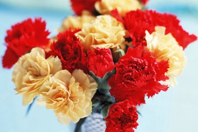 Download Wallpapers 3840x2160 Carnation, Flowers, Bouquet, Vase 4K ...