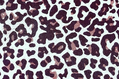 Gallery For   Iphone Wallpapers Cheetah