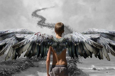 Download Angel Boy Wallpapers