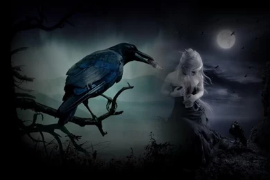 THE RAVEN WALLPAPER (