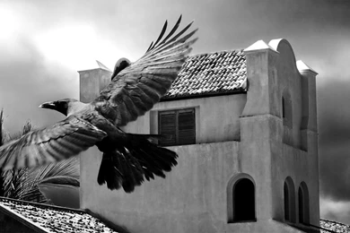 Raven   Teen Titans Widescreen Wallpapers