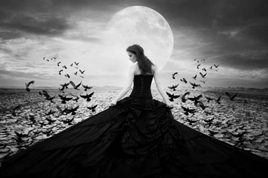 Raven Woman Fantasy Moon Wallpapers.jpg