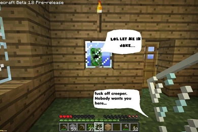 Funny Quotes About Minecraft. QuotesGram