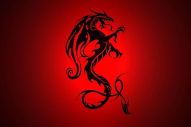 Wallpaper: Dragon Wallpapers