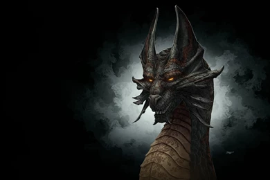 Gallery For   Dragon Head Wallpapers