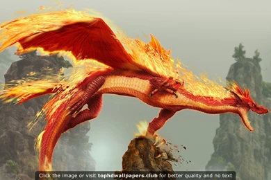 Page 3 Of Best Dragon 4K Or HD Wallpapers