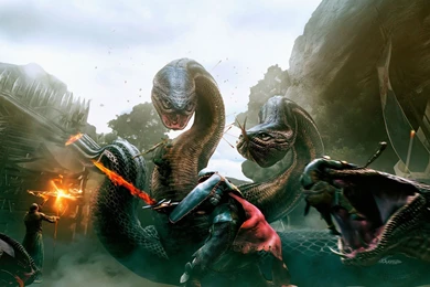 Dragons Dogma Wallpapers