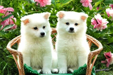 2015 09 24   Page 214