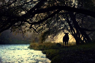 Hannibal Trailer Saison 2   VO   YouTube