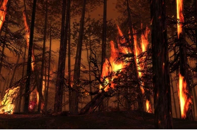 Forest Fire Desktop Wallpaper, Forest Fire Images, New Wallpapers